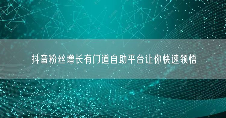 抖音粉丝增长有门道自助平台让你快速领悟